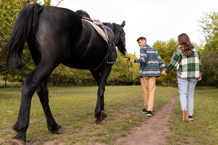 comfortable-and-efficient-environment-for-horses