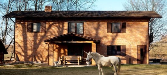 Strategies For Effective Fly Control In Horse Stables