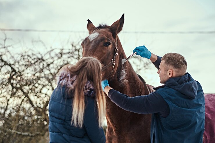 health-maintenance-for-horse-stables