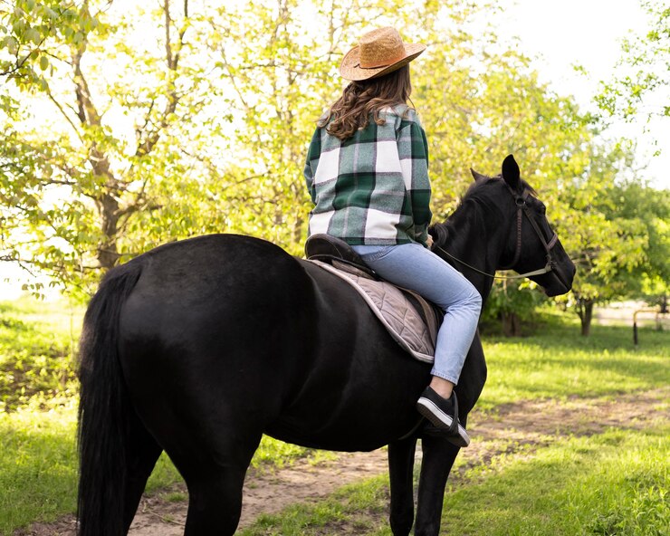 training-techniques-for-young-horses