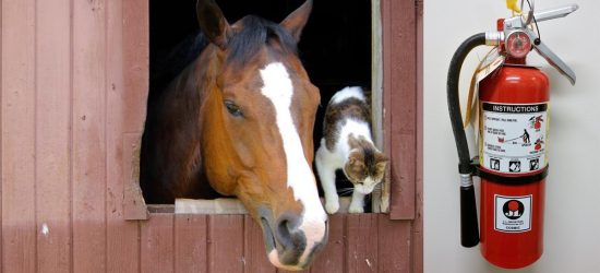 Fire Safety Preparedness for Horse Stables: Preventing and Managing Emergencies