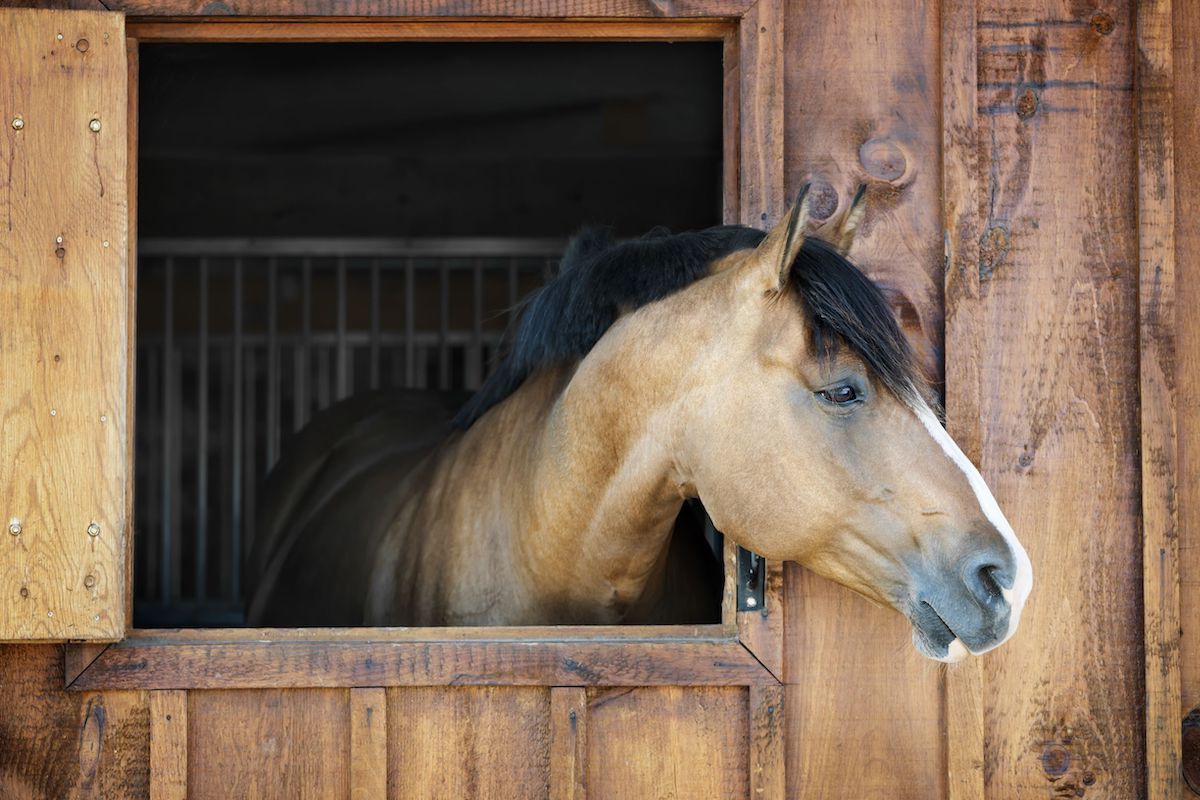 Fire Safety Preparedness for Horse Stables